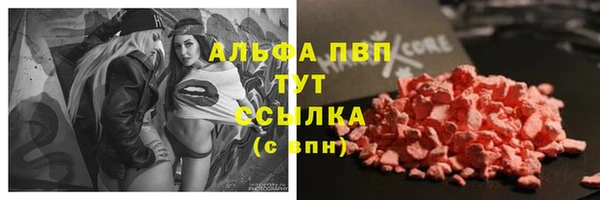 дмт Пестово