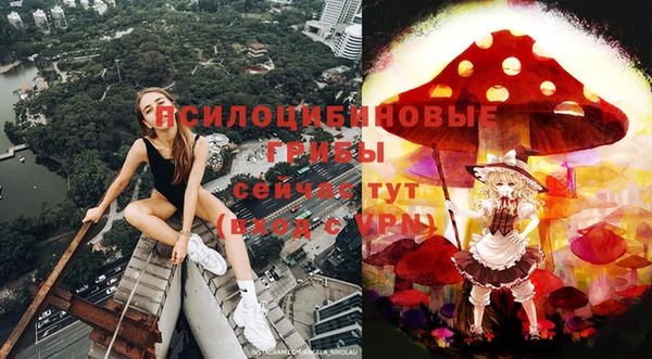 apvp Абинск