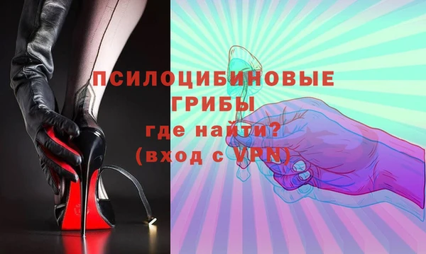 дмт Пестово