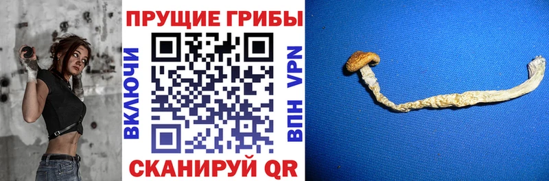 Галлюциногенные грибы прущие грибы Гагарин